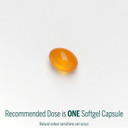 Genestra Brands Super Neurogen Dha, 30 Softgels