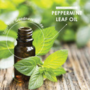 Peppermint Oil 200Mg - Cold-Pressed 180 Capsule Softgels (6 Months Supply) - Fast Absorbing & Easy To Digest - 100% Natural Peppermint Oil Digestive Supplement