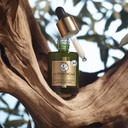 La Provenã£Â§Ale Bio L'Extract De Jouvence Anti-Aging Serum - Hyaluronic Acid And Oil, Organic Olive Pulp & Organic Olive Leaves - For All Skin Types Even The Most Sensitive - 30 Ml