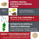 E'LIFEXIR Flat Belly - Abdomen Reducing Cream for Women : Anti Flaccidity : Eliminate Localized Fat in The Abdomen : Fat Burner - Multicolored 200 ml