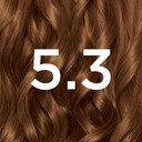 Garnier Nutrisse Permanent Hair Dye, Natural-Looking, Hair Colour Result, For All Hair Types, 5.3 Golden Brown
Color: 5.3 Golden Brown