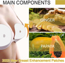 Breast Enhancement Patches, 4 Boxes Natural Breast Nourishing Firming Plaster, Breast Enlargement Plaster, Ginger Bust Enhancement Patch, For Breast Care Of Women