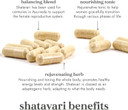 Fushi Shatavari Organic Herbal Supplement 60 Caps | Fresh-Ground Wholefood | Female Balance | Womenã¢ÂS Health Supplement | Ethical & Vegan