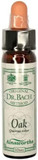 Ainsworths 10 Ml Oak Bach Flower Remedy