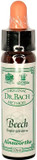 Ainsworths 10ml Beech Bach Flower Remedy