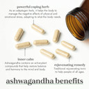 Fushi Ashwagandha Organic Herbal Supplement 340 mg, 60 Caps | Fresh-Ground Wholefood | Adaptogen, Immune, and Energy | Ethical & Vegan | Ayurveda Formula Known as WithaniaSomnifera