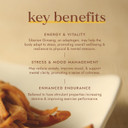 Fushi Organic Siberian Ginseng Capsules, 60 Caps | Fresh-Ground Whole Food | Strengthens Immune System, Purifies Blood, Stimulates Digestion | Ethical & Vegan | Manufactured in the UK