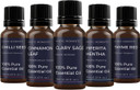 Mystic Moments | Essential Oil Starter Pack - Herb & Spice Oils - 5 X 10Ml - 100% Pure