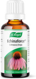 A.Vogel Echinaforce Echinacea Drops | Relieves Cold & Flu Symptoms by Strengthening the Immune System | 50ml A.Vogel Echinaforce Echinacea Drops | Relieves Cold & Flu Symptoms by Strengthening the Immune System | 50ml