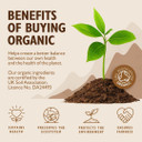Sevenhills Wholefoods Organic Gelatinised Maca Powder 1Kg

Size: 1 Kg (Pack Of 1)