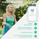 Organic Japanese Matcha Green Tea Capsules (New & Improved) | 120 Capsules (60 Servings) 1000Mg Per Serving | Powerful Anti-Oxidant | No Fillers - Pure Matcha Powder | Made In Uk Under Gmp License