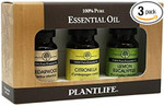 Plantlife Pest Set 3-Pack (Cedarwood, Lemon Eucalyptus, And Citronella) Aromatherapy Essential Oil Set - No Additives Or Fillers - Made In California 10 Ml Plantlife Pest Set 3-Pack (Cedarwood, Lemon Eucalyptus, And Citronella) Aromatherapy Essential Oil Set - No Additives Or Fillers - Made In California 10 Ml