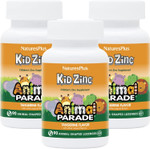 Naturesplus Animal Parade Kidzinc, Tangerine Flavor - 90 Animal-Shaped Lozenges, Pack Of 3 - Organically Chelated Zinc - Vegan, Gluten Free - 270 Total Servings