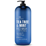 Botanic Hearth Tea Tree Face Wash With Mint - Acne Fighting, Therapeutic, Hydrating Liquid Face Soap With Pure Tea Tree Oil - For Women And Men, Paraben Free - 16 Fl Oz Botanic Hearth Tea Tree Face Wash With Mint - Acne Fighting, Therapeutic, Hydrating Liquid Face Soap With Pure Tea Tree Oil - For Women And Men, Paraben Free - 16 Fl Oz