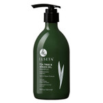 Luseta Tea Tree Shampoo With Argan Oil 16.9 Fl Oz- Clarifying,Hydrating And Fighting Dandruff And Itchy Scalp - For Damaged And Oil Hair - Sulfate And Paraben Free For Men And Women