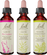 Bach Original Flower Remedies 3-Pack, Be Your Best" - Larch, Olive, White Chestnut, Homeopathic Flower Essences, Vegan, 20Ml Dropper X3