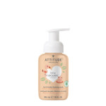Attitude 2-In-1 Hair And Body Foaming Baby Wash, Ewg Verified Shampoo Soap, Dermatologically Tested, Made With Naturally Derived Ingredients, Vegan, Orange And Pomegranate, 10 Fl Oz Attitude 2-In-1 Hair And Body Foaming Baby Wash, Ewg Verified Shampoo Soap, Dermatologically Tested, Made With Naturally Derived Ingredients, Vegan, Orange And Pomegranate, 10 Fl Oz