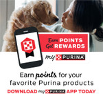 Purina Beyond Grain Free, Natural Pate Wet Dog Food, Grain Free Chicken, Lamb & Spinach Recipe - (12) 13 Oz. Cans Purina Beyond Grain Free, Natural Pate Wet Dog Food, Grain Free Chicken, Lamb & Spinach Recipe - (12) 13 Oz. Cans