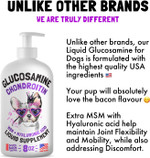 Liquid Glucosamine For Dogs Bacon Flavour With Chondroitin, Msm & Hyaluronic Acid K9 Supplement Hip And Joint Formula Advanced Mobility Joint Pain Relief Senior Advanced Supplement For All Breeds Liquid Glucosamine For Dogs Bacon Flavour With Chondroitin, Msm & Hyaluronic Acid K9 Supplement Hip And Joint Formula Advanced Mobility Joint Pain Relief Senior Advanced Supplement For All Breeds