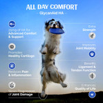 Glycanaid Ha Glucosamine For Dogs Hip And Joint Supplement - Dog Joint Chews Made In Usa - Hyaluronic Acid Dog Hip & Joint Care - Dog Joint Pain Relief With Cetyl M For Dogs