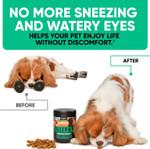 Natural Dog Allergy Chews With Omega, Probiotics, Apple Cider Vinegar - Dog Allergy Relief Supplement - Helps With Hot Spots, Itchy Skin, Seasonal And Food Dog Allergies - 180 Allergy Chews For Dogs Natural Dog Allergy Chews With Omega, Probiotics, Apple Cider Vinegar - Dog Allergy Relief Supplement - Helps With Hot Spots, Itchy Skin, Seasonal And Food Dog Allergies - 180 Allergy Chews For Dogs