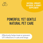 Cat & Dog Urinary Tract Treatment, Bladder & Kidney Support For Dogs And Cats, Powerful Yet Gentle Pet Care, With Liquid Cranberry & Glucosamine, Chicken Flavor, 6 Oz Bottle, 3 Pack