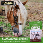 Harris Food Grade Diatomaceous Earth For Pets, For Cats, Dogs, Horses And Pets, 2Lb Harris Food Grade Diatomaceous Earth For Pets, For Cats, Dogs, Horses And Pets, 2Lb
