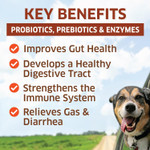 Probiotics For Dogs - Hot Spot Remedy For Dogs + Prebiotic - Dog Allergy Chews - Improve Digestion & Upset Tummy, Relieve Gas & Diarrhea, Dog Probiotics And Digestive Enzymes, 120 Dog Probiotic Chews
