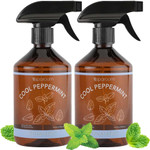 Sparoom Aromatherapy Non-Aerosol Therapy Essential Oil Room Spray Air Freshener, Cool Peppermint For Invigoration, 16.9 Fl Oz, Set Of 2 Sparoom Aromatherapy Non-Aerosol Therapy Essential Oil Room Spray Air Freshener, Cool Peppermint For Invigoration, 16.9 Fl Oz, Set Of 2