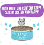 Weruva B.F.F. Omg - Best Feline Friend Oh My Gravy!, Best Day Eva! With Beef & Salmon In Gravy Cat Food, 5.5Oz Can (Pack Of 8) Weruva B.F.F. Omg - Best Feline Friend Oh My Gravy!, Best Day Eva! With Beef & Salmon In Gravy Cat Food, 5.5Oz Can (Pack Of 8)