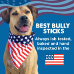 Best Bully Sticks 3-4" Hollow Dog Bones, 5 Pack Shin Bones For Dogs - Highly Digestible, Long Lasting & Refillable Dog Bones Best Bully Sticks 3-4" Hollow Dog Bones, 5 Pack Shin Bones For Dogs - Highly Digestible, Long Lasting & Refillable Dog Bones