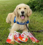 Nylabone Power Chew Classic Bone Chew Toy For Dogs, Durable Dog Toys For Aggressive Chewers, Original Flavor, Large/Giant - Up To 50 Lbs. (1 Count) Nylabone Power Chew Classic Bone Chew Toy For Dogs, Durable Dog Toys For Aggressive Chewers, Original Flavor, Large/Giant - Up To 50 Lbs. (1 Count)