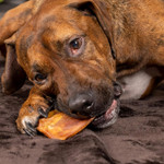 Pet Factory Real Chewz Premium Pig Ears Dog Chew Treats, 100% All-Natural - 18 Count/1 Pack Pet Factory Real Chewz Premium Pig Ears Dog Chew Treats, 100% All-Natural - 18 Count/1 Pack