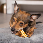 Pet Factory American Beefhide 3-3.5" Mini Rolls Dog Chew Treats - Chicken Flavor, 14 Count/1 Pack