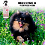 Wahl Usa Cornflower Aloe Pet Deodorant Spray For All Dogs & Cats Clean Fresh Smell Refreshes & Deodorizes 8 Oz - Model 820009A Wahl Usa Cornflower Aloe Pet Deodorant Spray For All Dogs & Cats Clean Fresh Smell Refreshes & Deodorizes 8 Oz - Model 820009A