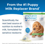 Pet-Ag Goatã¢ÂS Milk Esbilac Powder - 5 Lb - Powdered Puppy Formula With Prebiotics, Probiotics & Vitamins For Puppies Newborn To Six Weeks Old - For Sensitive Digestive Systems Pet-Ag Goatã¢ÂS Milk Esbilac Powder - 5 Lb - Powdered Puppy Formula With Prebiotics, Probiotics & Vitamins For Puppies Newborn To Six Weeks Old - For Sensitive Digestive Systems