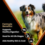 Victor Super Premium Dog Food Chicken Meal & Brown Rice Formula - Dry Dog Food For All Normally Active Dogs Of All Life Stages Ideal For Dogs With Meat Protein Allergies, 15 Lb Victor Super Premium Dog Food Chicken Meal & Brown Rice Formula - Dry Dog Food For All Normally Active Dogs Of All Life Stages Ideal For Dogs With Meat Protein Allergies, 15 Lb