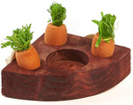 Kaytee Toss & Learn Carrot Game, 277207