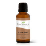 Plant Therapy Clove Bud Essential Oil 100% Pure, Undiluted, Natural Aromatherapy, Therapeutic Grade 30 Ml (1 Oz)