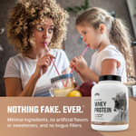 Levels Grass Fed Whey Protein Powder, No Artificials, 24G Of Protein, Pure Chocolate, 5Lb Levels Grass Fed Whey Protein Powder, No Artificials, 24G Of Protein, Pure Chocolate, 5Lb