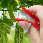 A durable thumb knife designed for gardeners, featuring a sharp blade attached to a silicone or rubber sleeve that fits securely over the thumb. This tool allows for efficient harvesting of fruits and vegetables, as well as precise pruning tasks, enhancing safety and convenience during gardening activities. A durable thumb knife designed for gardeners, featuring a sharp blade attached to a silicone or rubber sleeve that fits securely over the thumb. This tool allows for efficient harvesting of fruits and vegetables, as well as precise pruning tasks, enhancing safety and convenience during gardening activities.