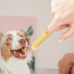 A 360-degree pet toothbrush featuring soft bristles encircling the brush head, designed for thorough and gentle cleaning of dogs' and cats' teeth. The ergonomic handle ensures a comfortable grip, making dental care routines easier for pet owners. A 360-degree pet toothbrush featuring soft bristles encircling the brush head, designed for thorough and gentle cleaning of dogs' and cats' teeth. The ergonomic handle ensures a comfortable grip, making dental care routines easier for pet owners.