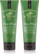 Bath & Body Works Aromatherapy Stress Relief Eucalyptus Spearmint Body Cream 8.0 oz, 226g (2 Pack) by Bath & Body Works Bath & Body Works Aromatherapy Stress Relief Eucalyptus Spearmint Body Cream 8.0 oz, 226g (2 Pack) by Bath & Body Works