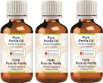 Greenwood Essential Pure Perilla Oil (Perilla frutescens) Cold Pressed 100ml x 3 (10 oz) Greenwood Essential Pure Perilla Oil (Perilla frutescens) Cold Pressed 100ml x 3 (10 oz)