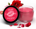Nourish Mantra - Beetroot Lip Balm with SPF | Made with Olive oil, Shea Butter, Vitamin E and Avocado Oil | For Dry, Chapped & Dark Lips | Best for Both Women and Men | 12g Nourish Mantra - Beetroot Lip Balm with SPF | Made with Olive oil, Shea Butter, Vitamin E and Avocado Oil | For Dry, Chapped & Dark Lips | Best for Both Women and Men | 12g