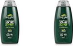 Australian Tea Tree Shampoo, Purifying, Natural, Vegan, Cruelty Free, Paraben and SLS Free, Deep Cleansing, 250 ml Australian Tea Tree Shampoo, Purifying, Natural, Vegan, Cruelty Free, Paraben and SLS Free, Deep Cleansing, 250 ml
