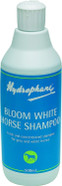 Hydrophane Bloom White Horse Shampoo 500ml - Clear, 500Ml