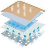 Eclypse Super Absorbent Secondary Dressing 15cm x 15cm (20 Dressings) CR3769 by Eclypse Eclypse Super Absorbent Secondary Dressing 15cm x 15cm (20 Dressings) CR3769 by Eclypse