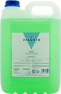 Valquer - Special Chlorophyll Shampoo for Hairdressers - Professional Shampoo - Carafe 5 L Valquer - Special Chlorophyll Shampoo for Hairdressers - Professional Shampoo - Carafe 5 L