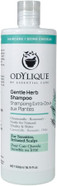 Odylique Gentle Herb Organic & Natural Shampoo 500ml | Sensitive Scalps | 100% Natural Vegan & Organic | SLS Free & Silicone Free | Salt Free Shampoo Odylique Gentle Herb Organic & Natural Shampoo 500ml | Sensitive Scalps | 100% Natural Vegan & Organic | SLS Free & Silicone Free | Salt Free Shampoo